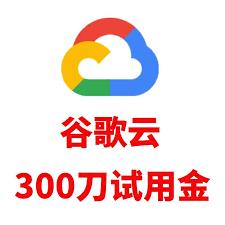 Google Cloud谷歌云GCP账号｜300美元赠金90天开发部署资源